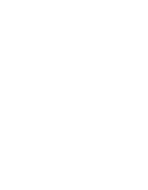 Turun Phoenix